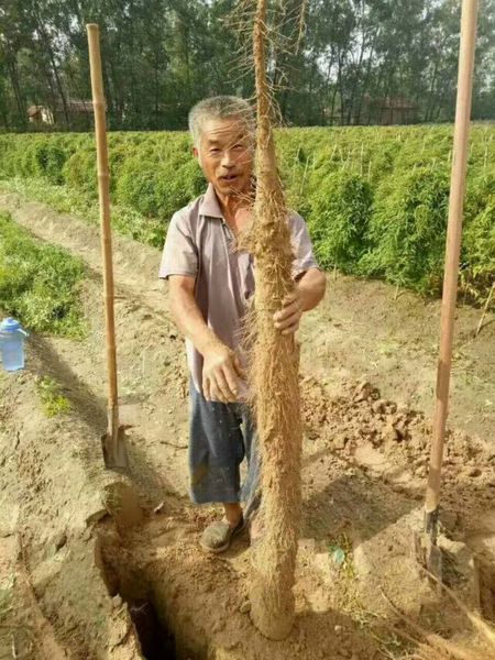 农资宣传 2