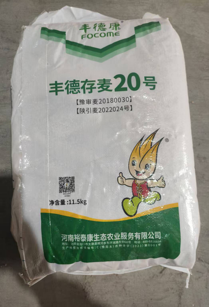 丰德存麦20号