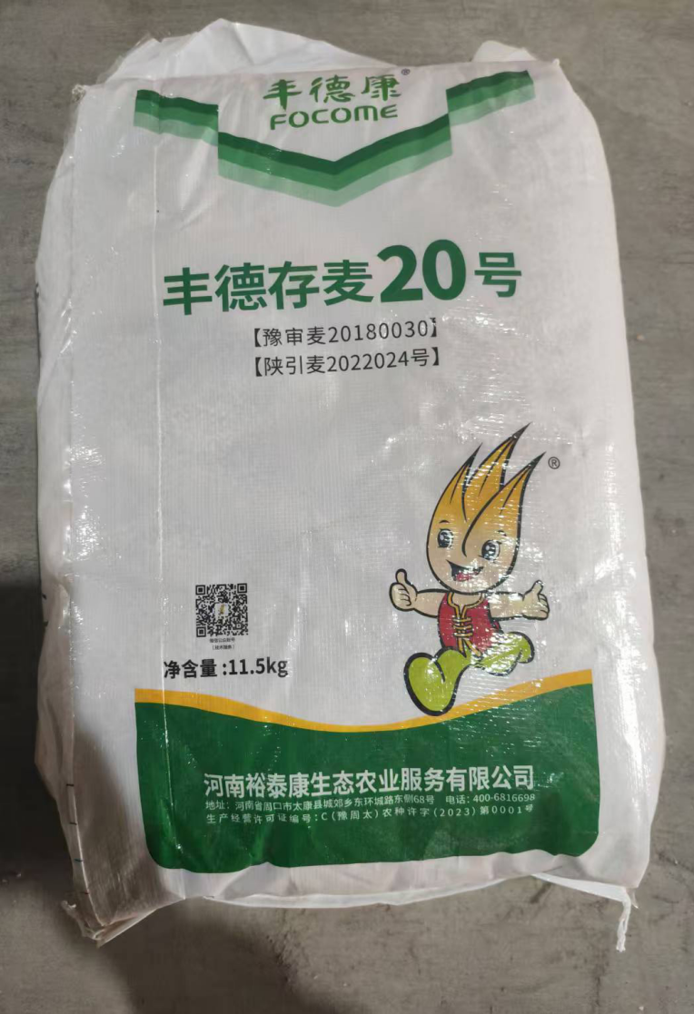 丰德存麦20号