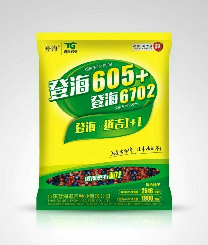 登海605十登海6702